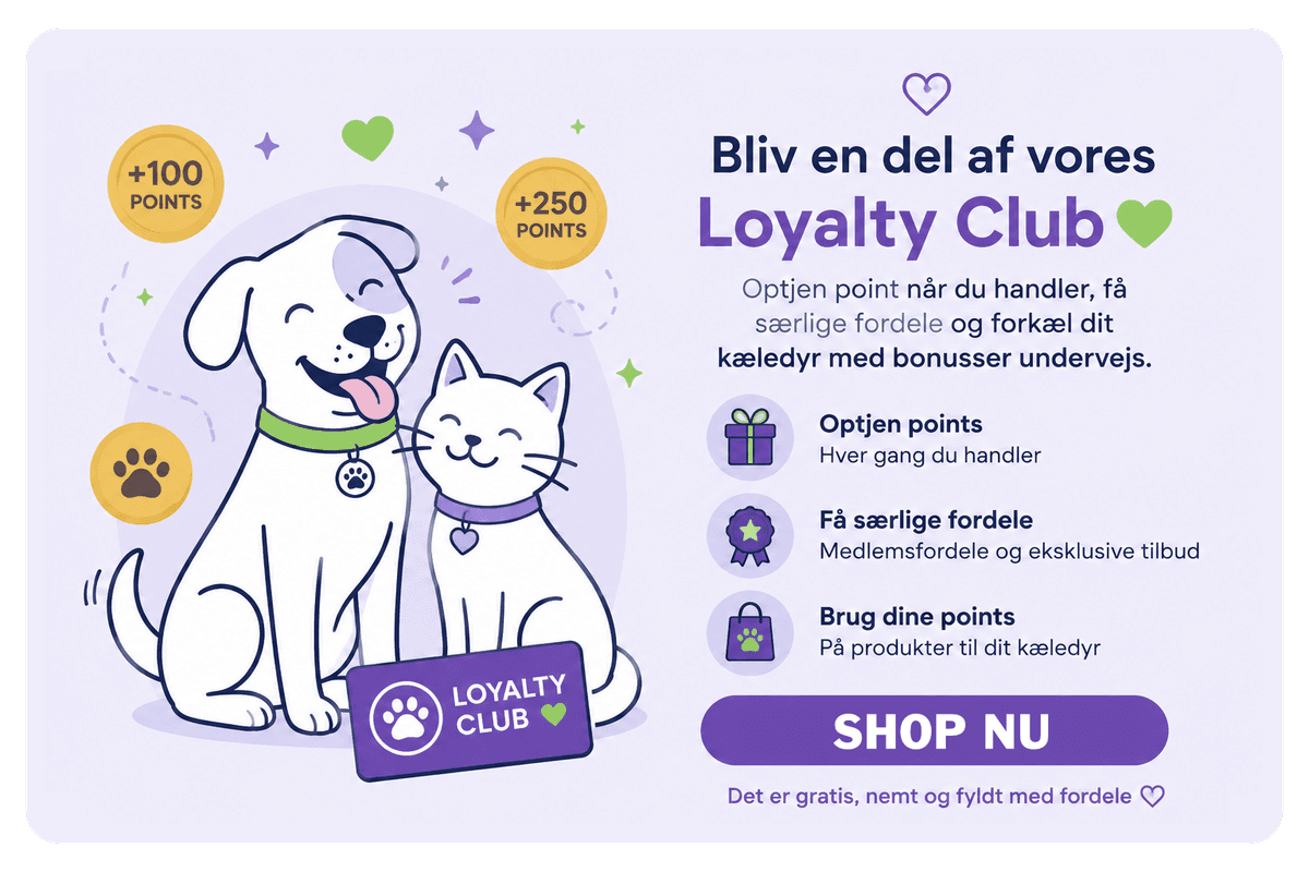 Et billede, der er tilføjet i indlægget.