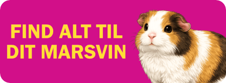 Et billede, der er tilføjet i indlægget.
